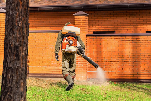Trusted Emergency Pest Control service in Rossmoyne, OH - Nex Pest Control